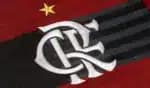 Símbolo do Flamengo (Foto: Reprodução) 