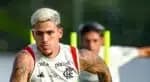 Pedro deve sair do Flamengo e torcida já aponta substituto (Foto: Marcelo Cortes/Flamengo) 