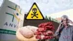 Anvisa detecta bactéria em 2 marcas de carne (Fotos: Reprodução/ Internet/ Freepik/ Montagem)