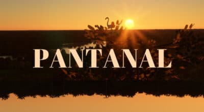 Ator de Pantanal é pego em flagrante pela polícia por porte ilegal de drogas e deixa país em choque