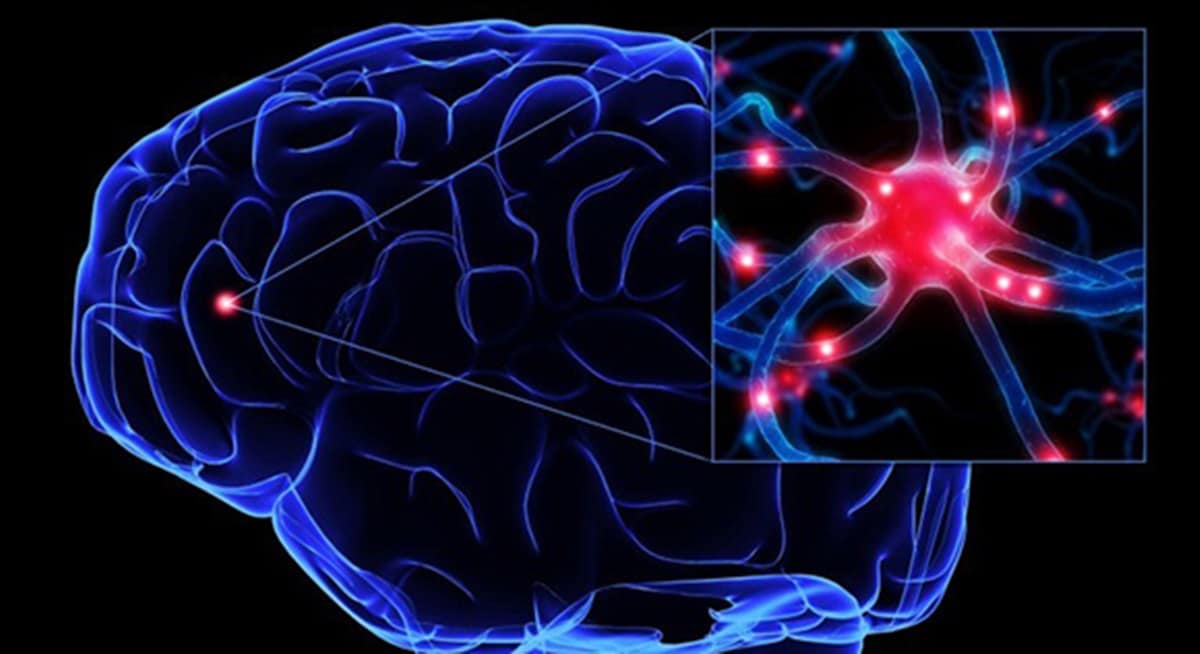 Doença de Alzheimer constatada em cérebro (Foto: Reprodução/ Ilustração/ Internet)