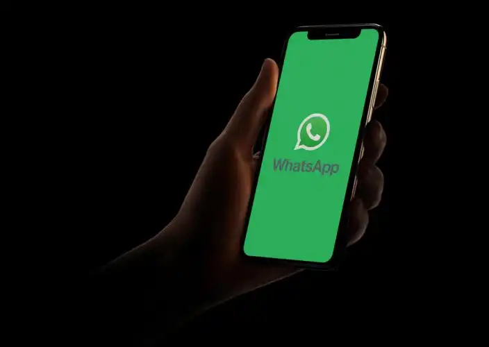 WhatsApp (Reprodução/Internet)