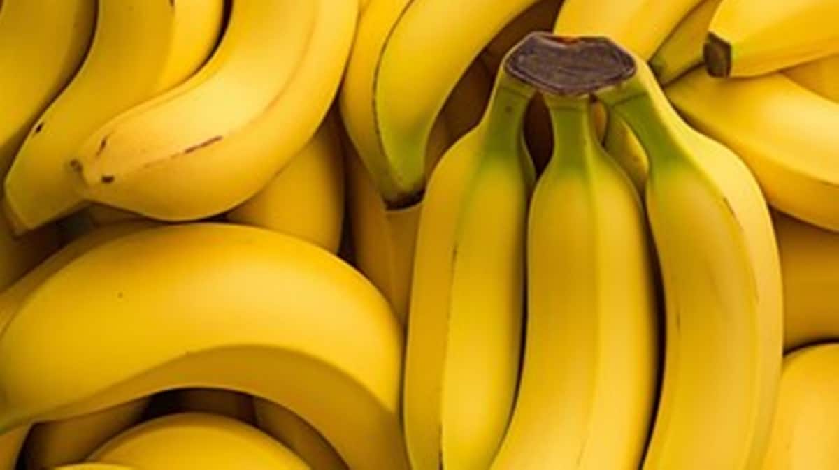 Bananas (Foto: Reprodução/ FreePik)