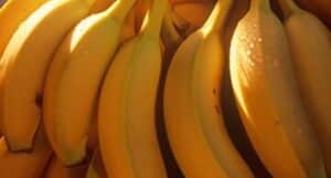 Você armazena bananas incorretamente a vida toda e precisa saber a maneira CORRETA