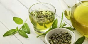 Chá verde gordura no fígado
