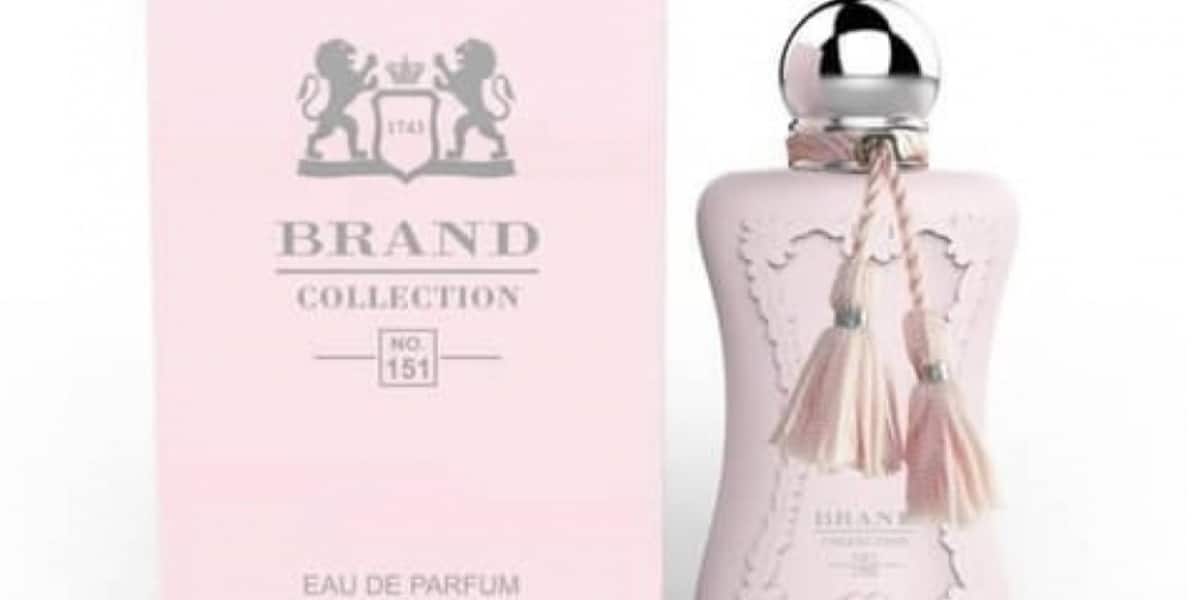 Perfume Brand Collection N. 151 com entrega nacional da Shei n (Imagem Reprodução Divulgação)
